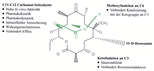 Abbildung 1: Telithromycin: Struktur - Wirkungsbeziehung